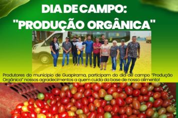 DIA DE CAMPO 