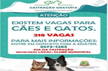 CASTRAPET