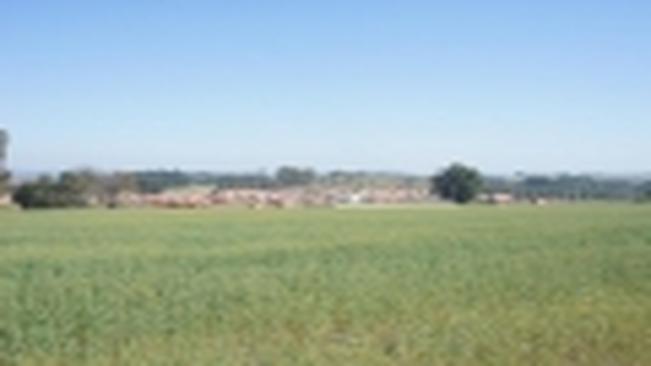 Guapirama adquire terreno para constru??o de at? 200 casas populares